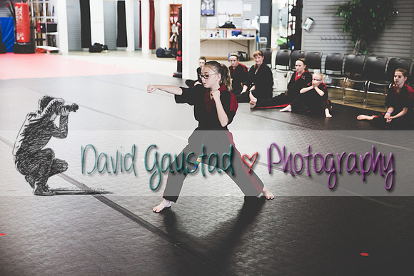 Midwest Professional Karate Black Belt Test 2016