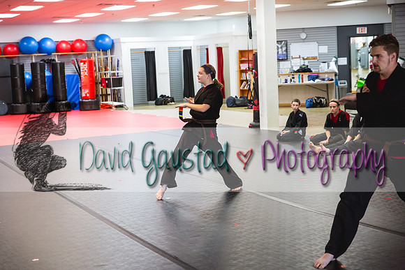 Midwest Professional Karate Black Belt Test 2016