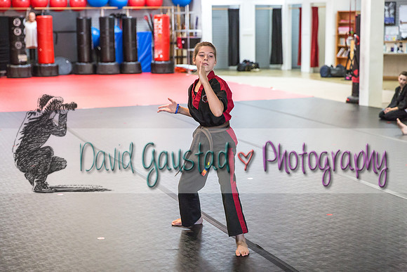 Midwest Professional Karate Black Belt Test 2016
