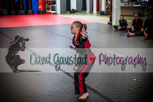Midwest Professional Karate Black Belt Test 2016