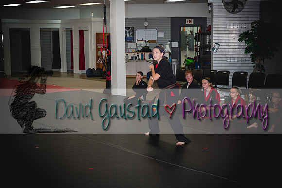 Midwest Professional Karate Black Belt Test 2016
