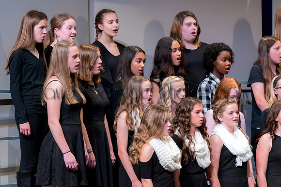 DeForest Middle School Spring Concert