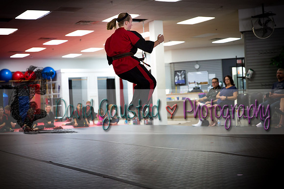 Midwest Professional Karate Black Belt Test 2016