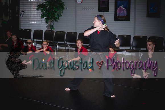 Midwest Professional Karate Black Belt Test 2016