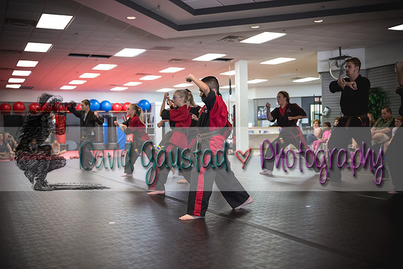 Midwest Professional Karate Black Belt Test 2016