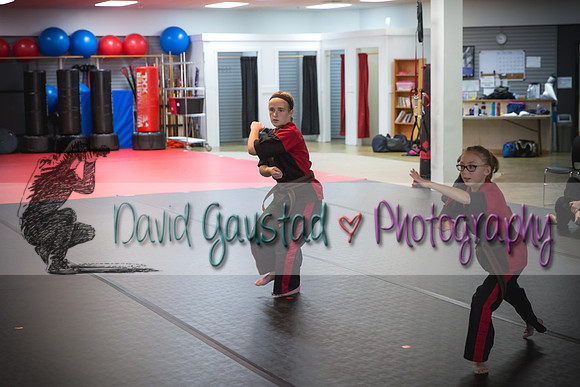 Midwest Professional Karate Black Belt Test 2016
