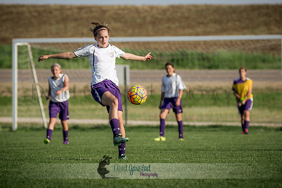 DeForest Norski soccer vs Rock on 5/21/2016