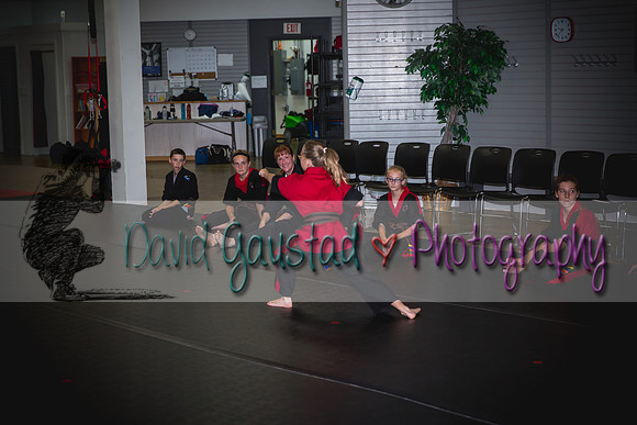 Midwest Professional Karate Black Belt Test 2016