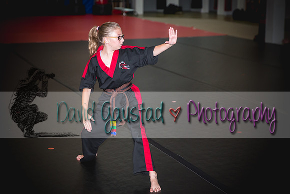 Midwest Professional Karate Black Belt Test 2016