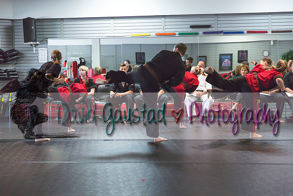 Midwest Professional Karate Black Belt Test 2016