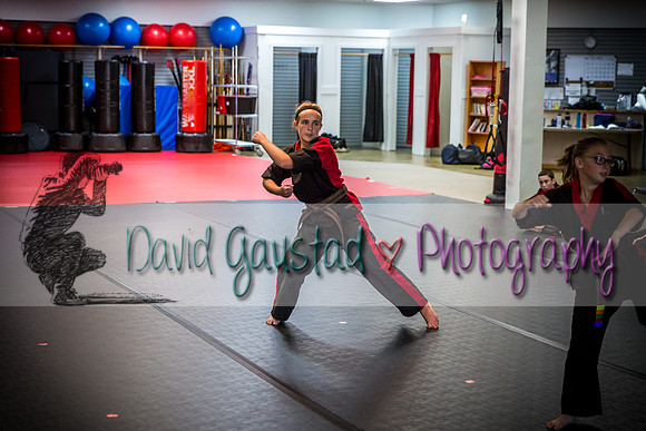 Midwest Professional Karate Black Belt Test 2016