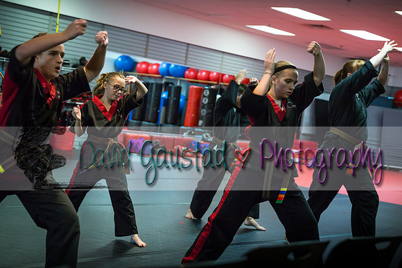 Midwest Professional Karate Black Belt Test 2016