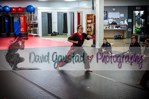 Midwest Professional Karate Black Belt Test 2016