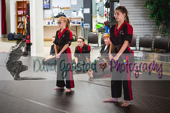Midwest Professional Karate Black Belt Test 2016