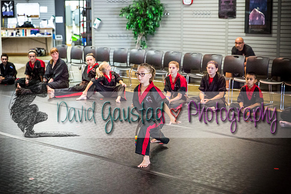 Midwest Professional Karate Black Belt Test 2016