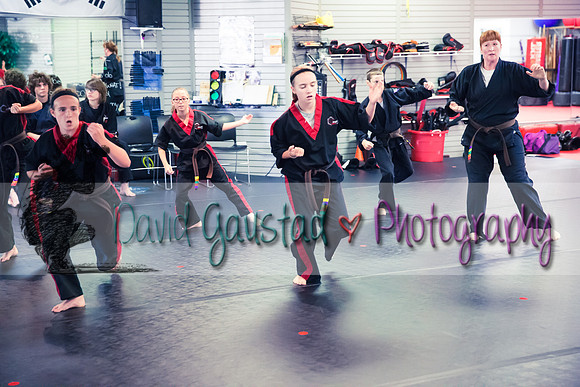 Midwest Professional Karate Black Belt Test 2016