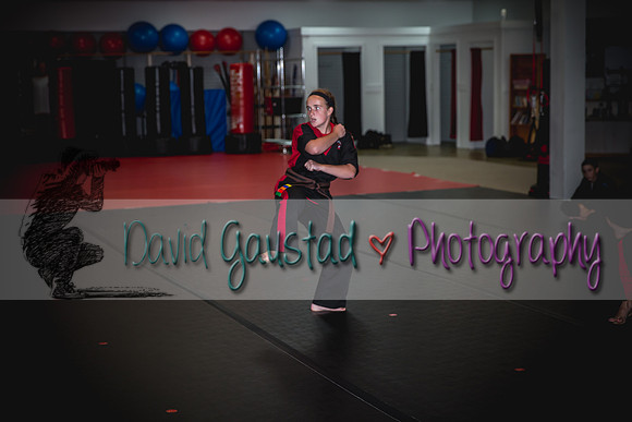 Midwest Professional Karate Black Belt Test 2016