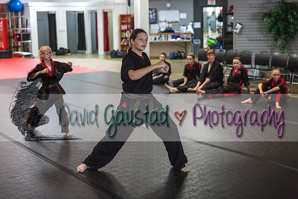 Midwest Professional Karate Black Belt Test 2016