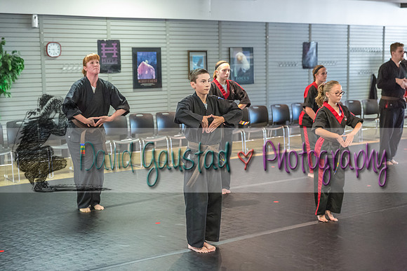 Midwest Professional Karate Black Belt Test 2016