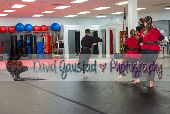 Midwest Professional Karate Black Belt Test 2016