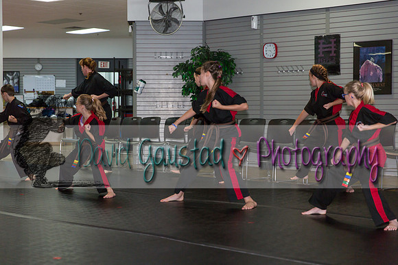 Midwest Professional Karate Black Belt Test 2016