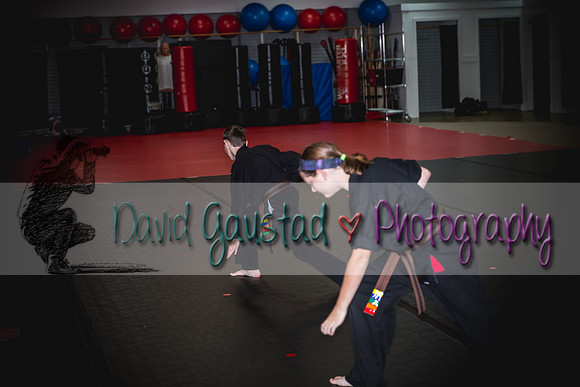 Midwest Professional Karate Black Belt Test 2016