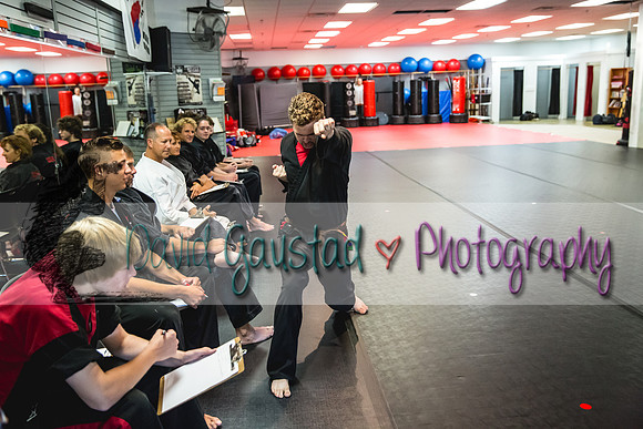 Midwest Professional Karate Black Belt Test 2016