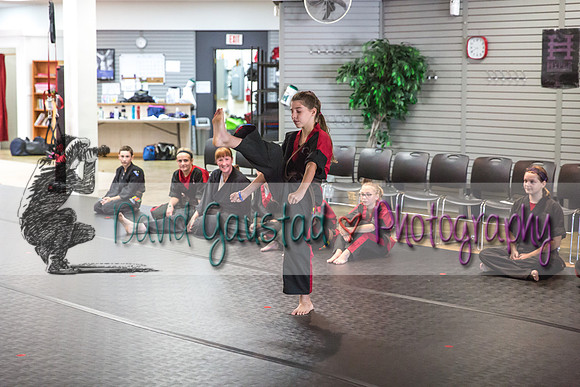 Midwest Professional Karate Black Belt Test 2016