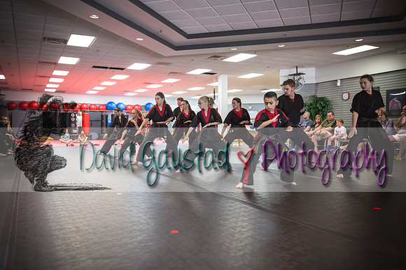Midwest Professional Karate Black Belt Test 2016