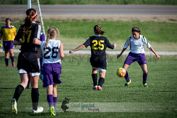 DeForest Norski soccer vs Rock on 5/21/2016