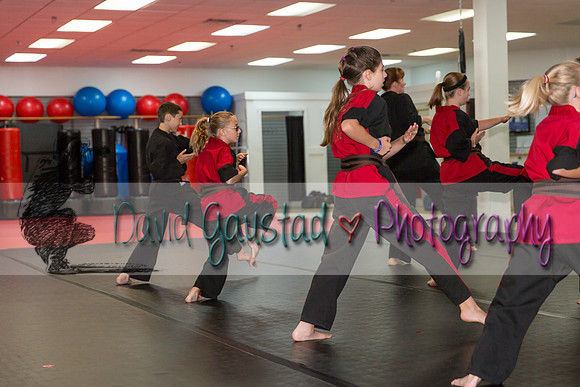 Midwest Professional Karate Black Belt Test 2016