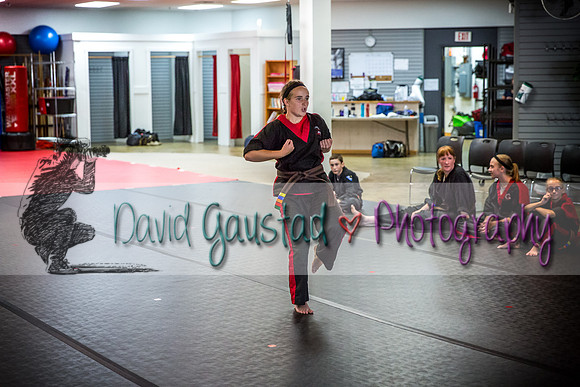 Midwest Professional Karate Black Belt Test 2016