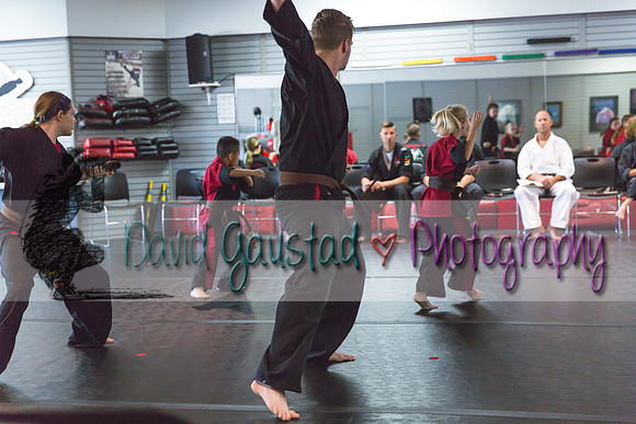 Midwest Professional Karate Black Belt Test 2016