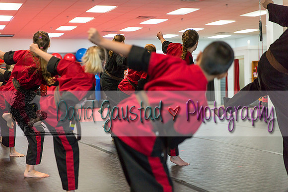 Midwest Professional Karate Black Belt Test 2016