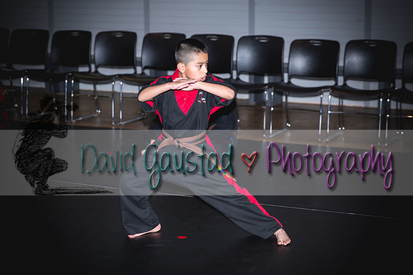 Midwest Professional Karate Black Belt Test 2016