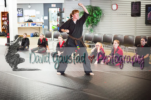 Midwest Professional Karate Black Belt Test 2016