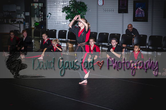 Midwest Professional Karate Black Belt Test 2016