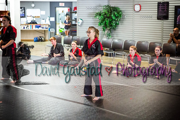 Midwest Professional Karate Black Belt Test 2016