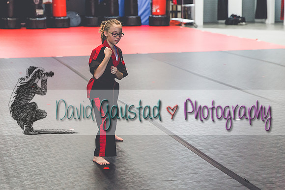 Midwest Professional Karate Black Belt Test 2016