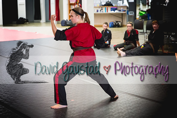 Midwest Professional Karate Black Belt Test 2016