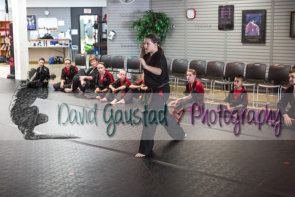 Midwest Professional Karate Black Belt Test 2016
