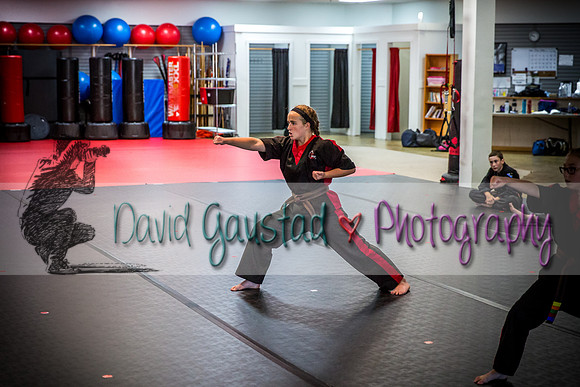 Midwest Professional Karate Black Belt Test 2016