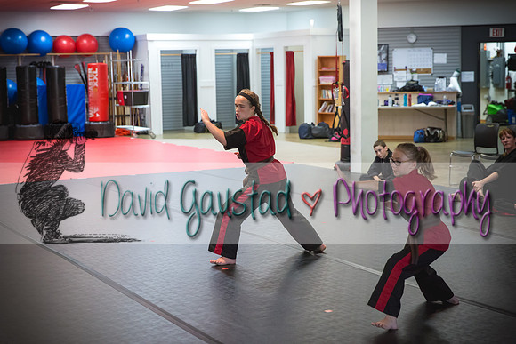 Midwest Professional Karate Black Belt Test 2016