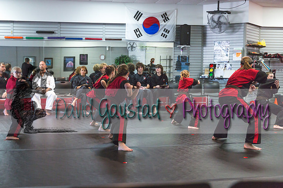 Midwest Professional Karate Black Belt Test 2016