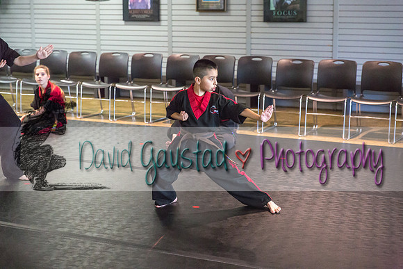 Midwest Professional Karate Black Belt Test 2016