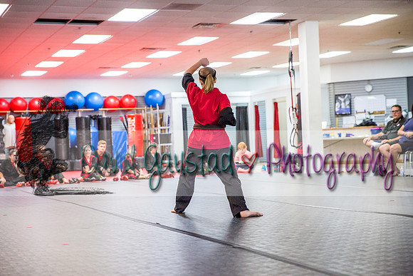 Midwest Professional Karate Black Belt Test 2016