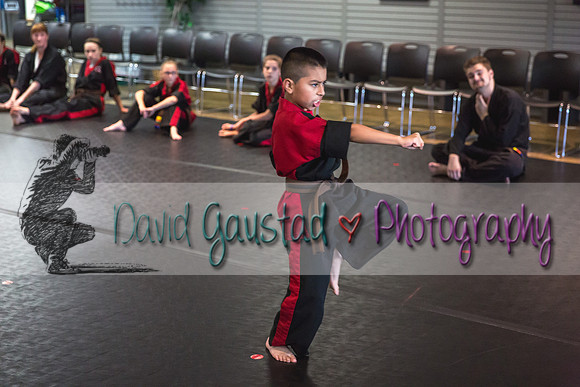 Midwest Professional Karate Black Belt Test 2016