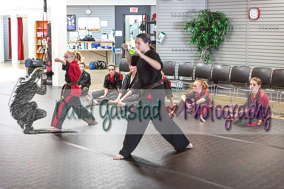 Midwest Professional Karate Black Belt Test 2016