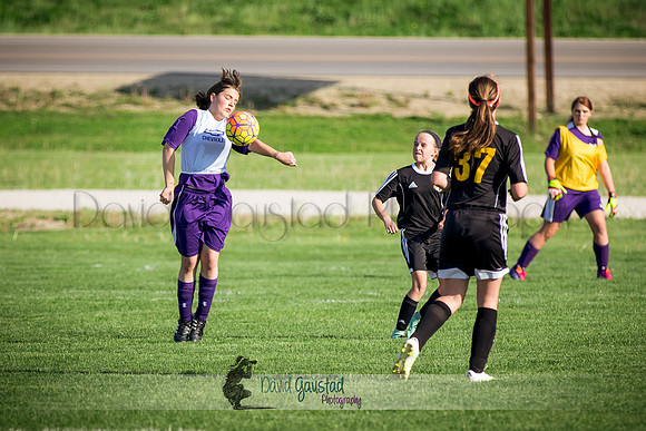 DeForest Norski soccer vs Rock on 5/21/2016