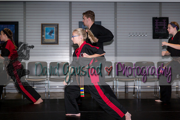 Midwest Professional Karate Black Belt Test 2016